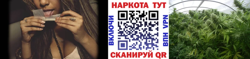 Названия наркотиков Хабаровск А ПВП  АМФ  MDMA  МЕГА маркетплейс  ГАШ  Меф 